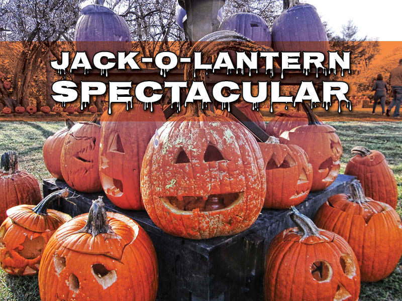 Jack O Lantern Spectacular Thomas Rees Memorial Carillon